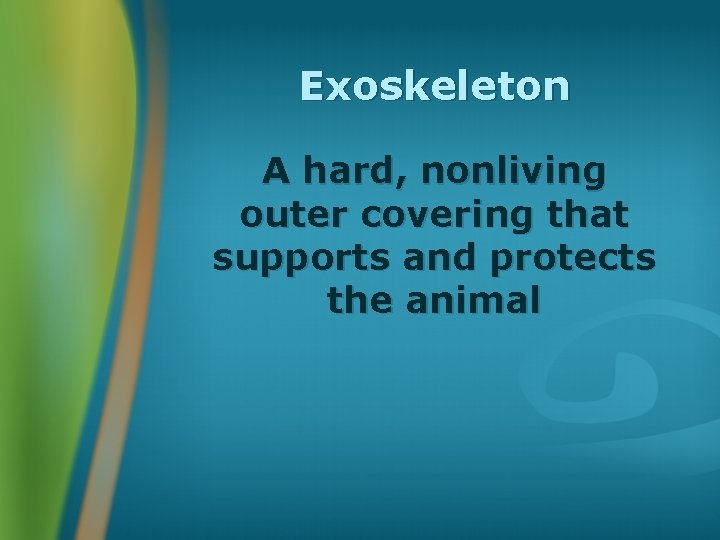 Exoskeleton A hard, nonliving outer covering that supports and protects the animal 