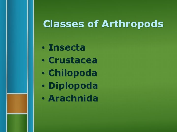 Classes of Arthropods • • • Insecta Crustacea Chilopoda Diplopoda Arachnida 