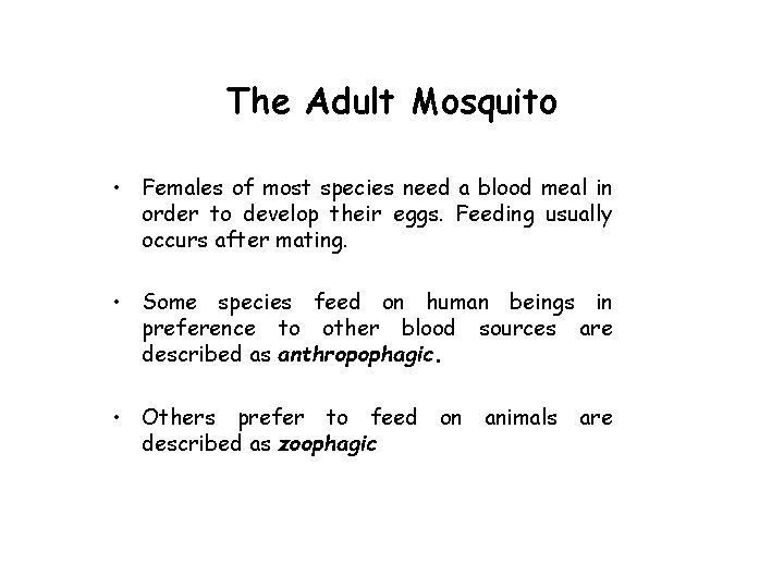The Adult Mosquito • Females of most species need a blood meal in order