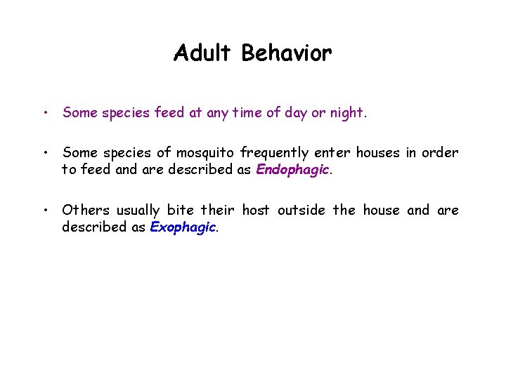 Adult Behavior • Some species feed at any time of day or night. •