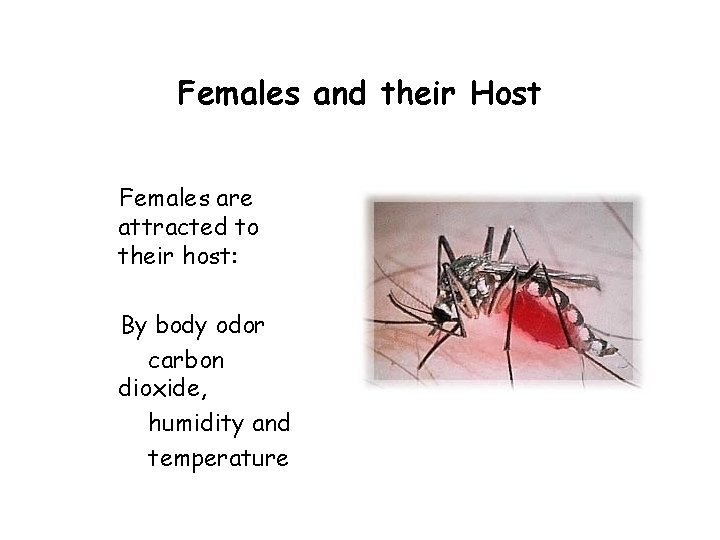 Females and their Host Females are attracted to their host: By body odor carbon