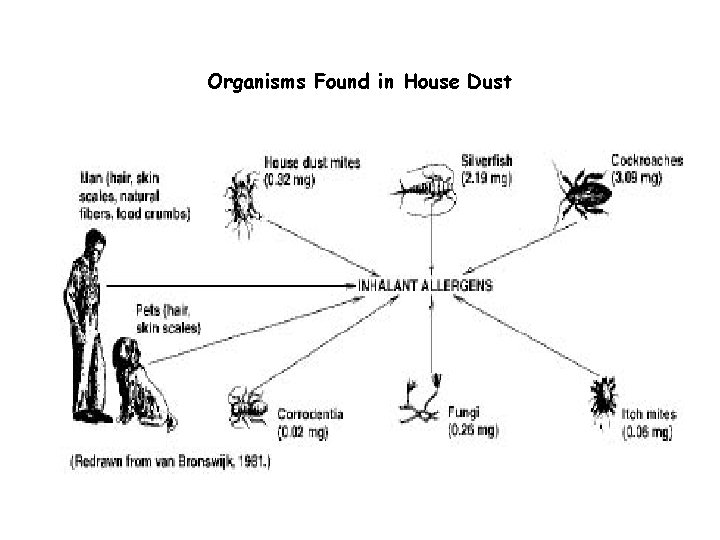 Organisms Found in House Dust 