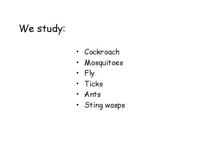 We study: • • • Cockroach Mosquitoes Fly Ticks Ants Sting wasps 