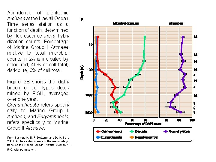 Abundance of planktonic Archaea at the Hawaii Ocean Time series station as a function