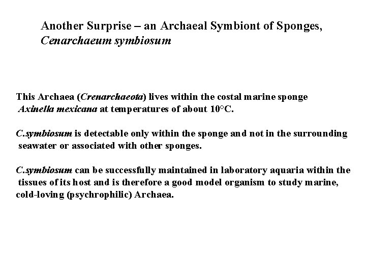 Another Surprise – an Archaeal Symbiont of Sponges, Cenarchaeum symbiosum This Archaea (Crenarchaeota) lives