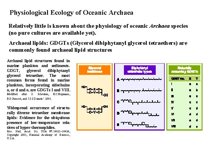 Physiological Ecology of Oceanic Archaea Relatively little is known about the physiology of oceanic
