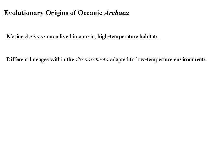 Evolutionary Origins of Oceanic Archaea Marine Archaea once lived in anoxic, high-temperature habitats. Different