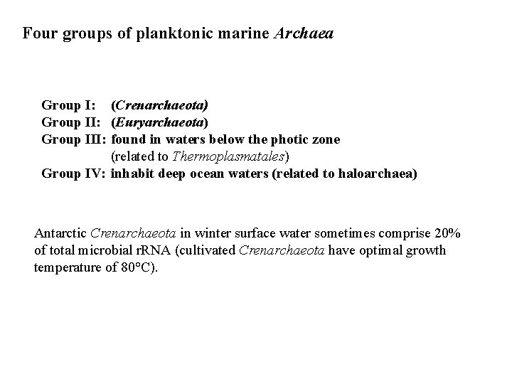 Four groups of planktonic marine Archaea Group I: (Crenarchaeota) Group II: (Euryarchaeota) Group III: