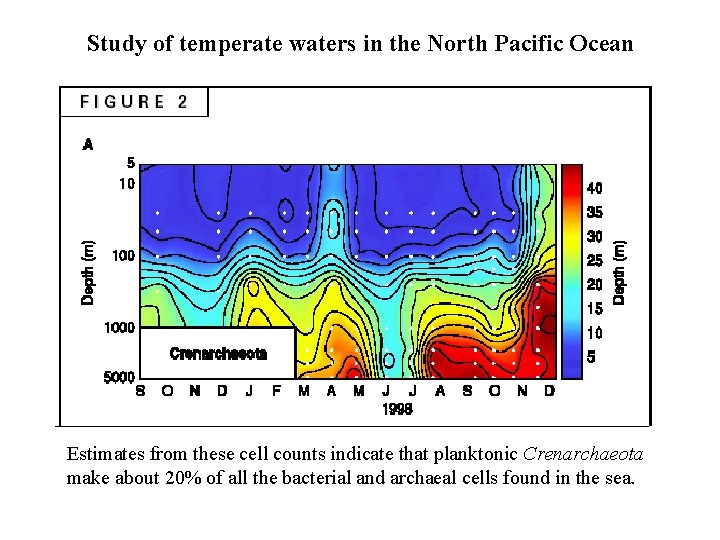 Study of temperate waters in the North Pacific Ocean Estimates from these cell counts