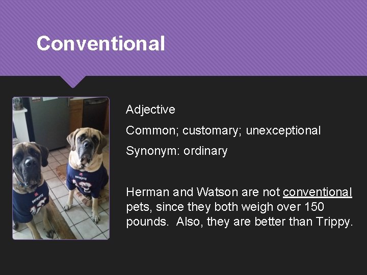 Conventional Adjective Common; customary; unexceptional Synonym: ordinary Herman and Watson are not conventional pets,