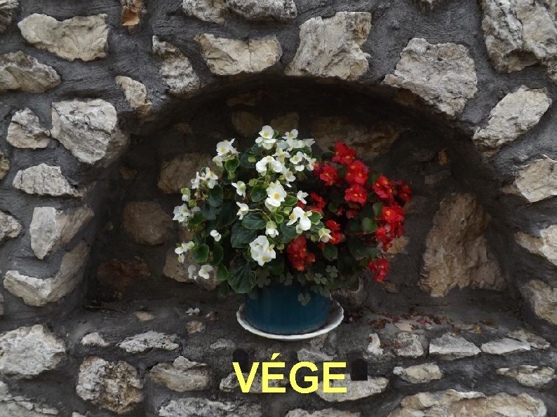 VÉGE 