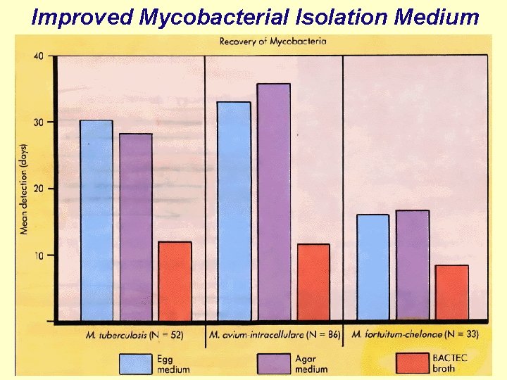 Improved Mycobacterial Isolation Medium 