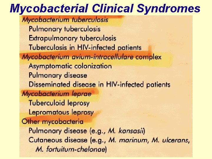 Mycobacterial Clinical Syndromes 