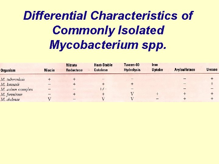 Differential Characteristics of Commonly Isolated Mycobacterium spp. 