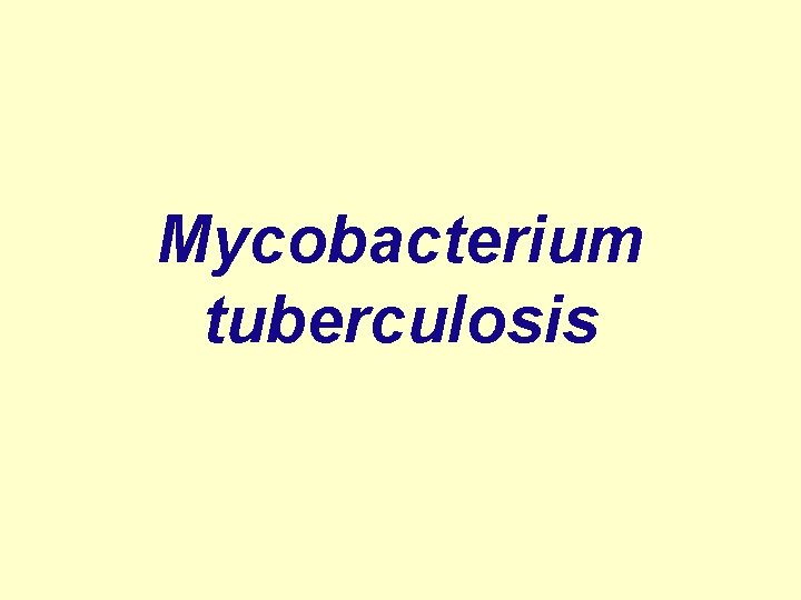 Mycobacterium tuberculosis 