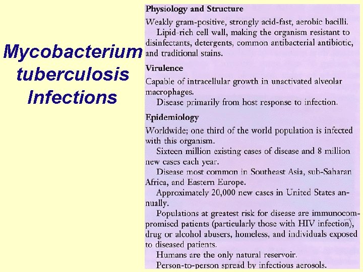 Mycobacterium tuberculosis Infections 