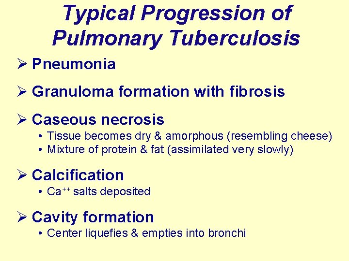 Typical Progression of Pulmonary Tuberculosis Ø Pneumonia Ø Granuloma formation with fibrosis Ø Caseous