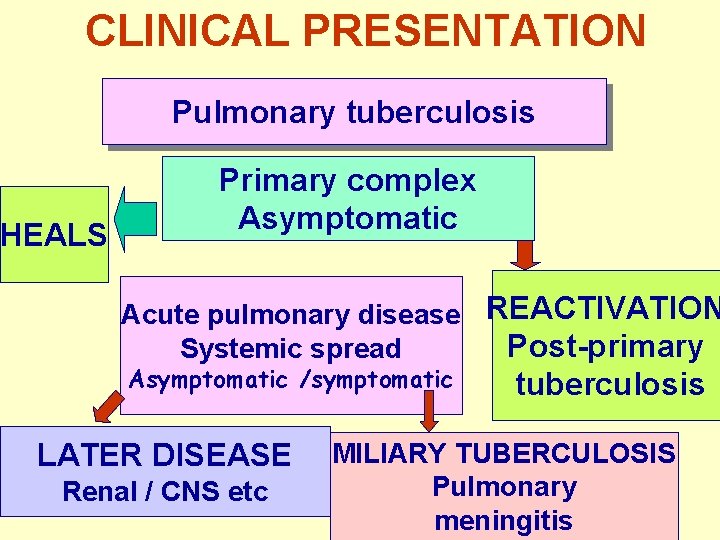 CLINICAL PRESENTATION Pulmonary tuberculosis HEALS Primary complex Asymptomatic Acute pulmonary disease REACTIVATION Post-primary Systemic