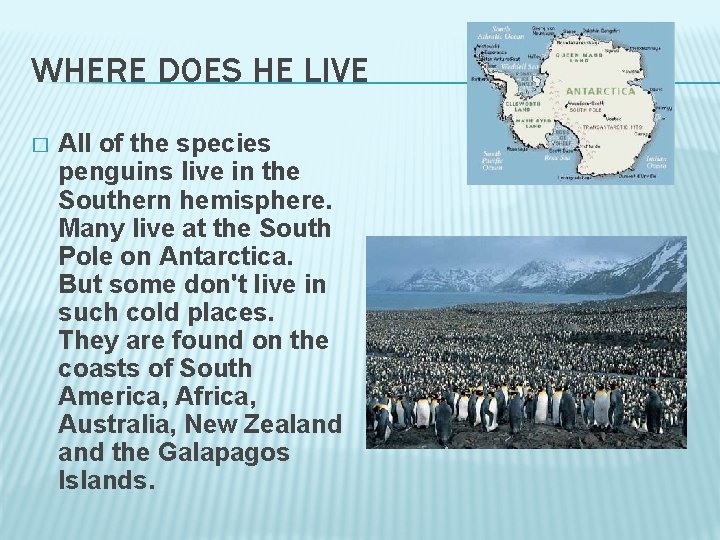 WHERE DOES HE LIVE � All of the species penguins live in the Southern