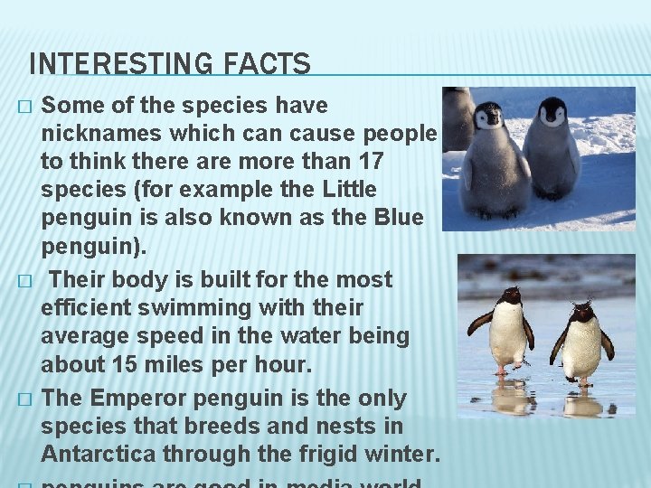 INTERESTING FACTS � � � Some of the species have nicknames which can cause