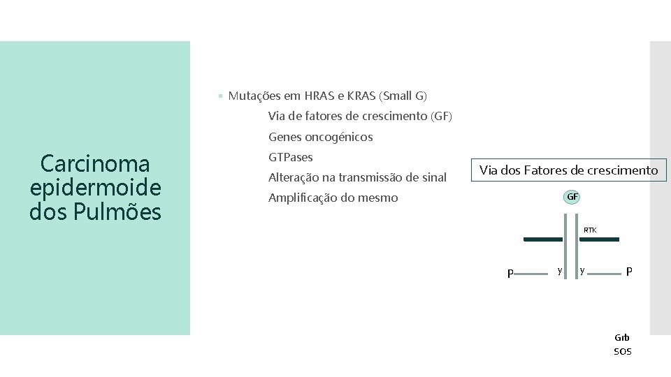 § Mutações em HRAS e KRAS (Small G) Via de fatores de crescimento (GF)