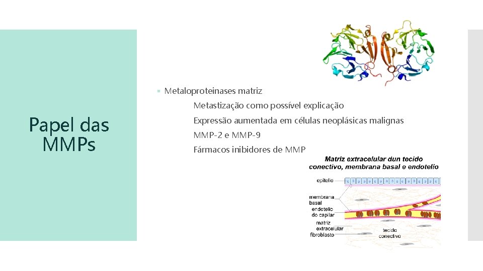 § Metaloproteinases matriz Metastização como possível explicação Papel das MMPs Expressão aumentada em células