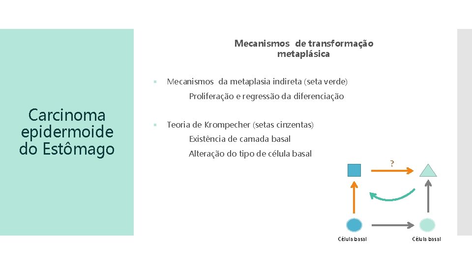 Mecanismos de transformação metaplásica § Mecanismos da metaplasia indireta (seta verde) Proliferação e regressão