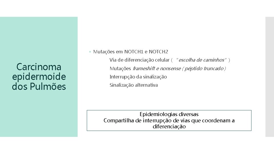 § Mutações em NOTCH 1 e NOTCH 2 Carcinoma epidermoide dos Pulmões Via de