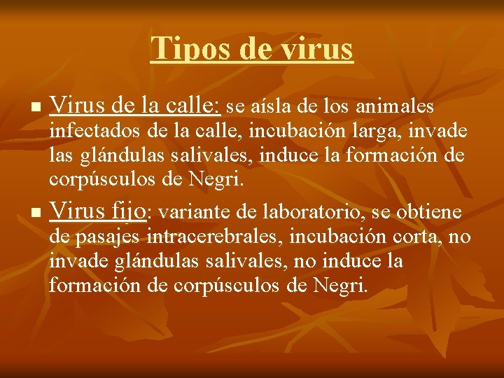 Tipos de virus n n Virus de la calle: se aísla de los animales