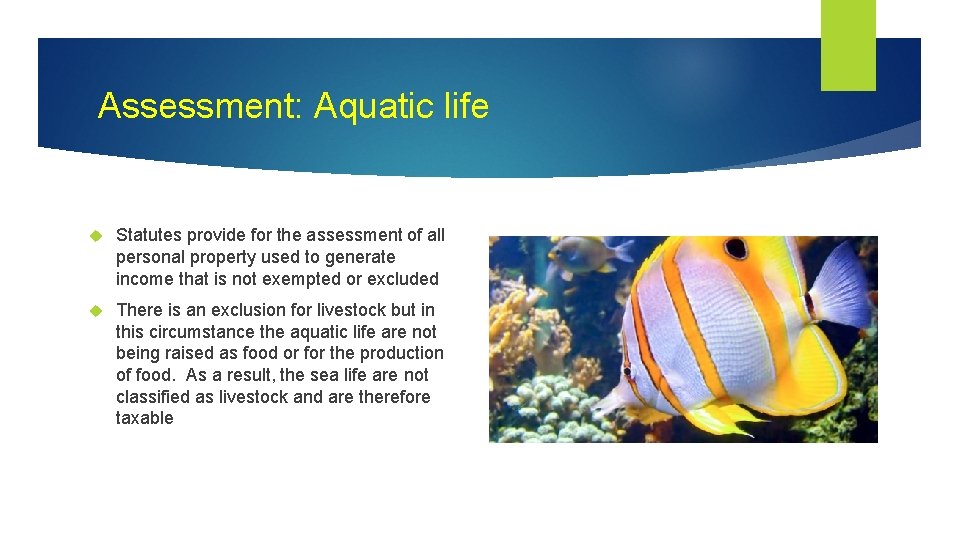 Assessment: Aquatic life Statutes provide for the assessment of all personal property used to