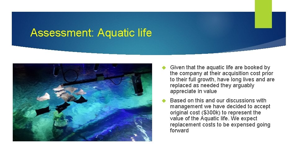 Assessment: Aquatic life Given that the aquatic life are booked by the company at