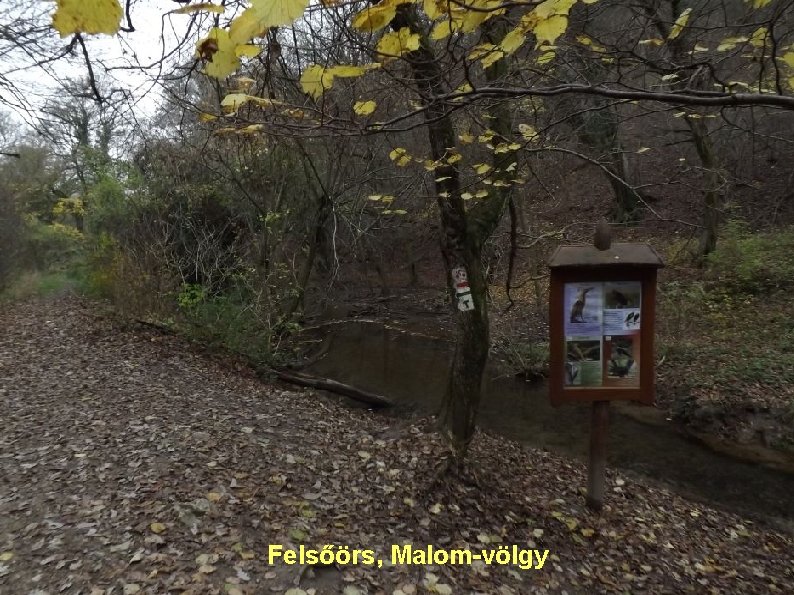 Felsőörs, Malom-völgy 