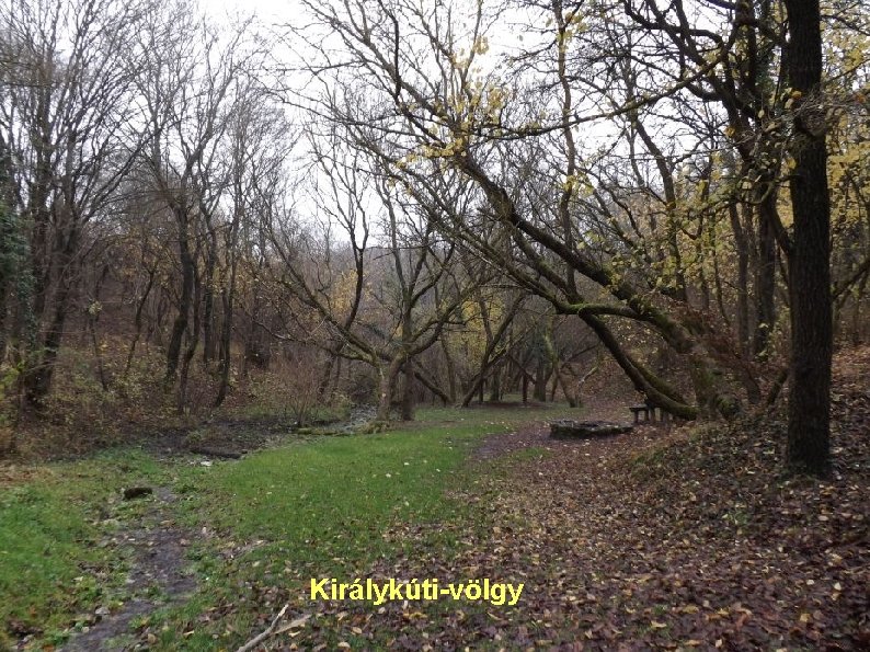 Királykúti-völgy 