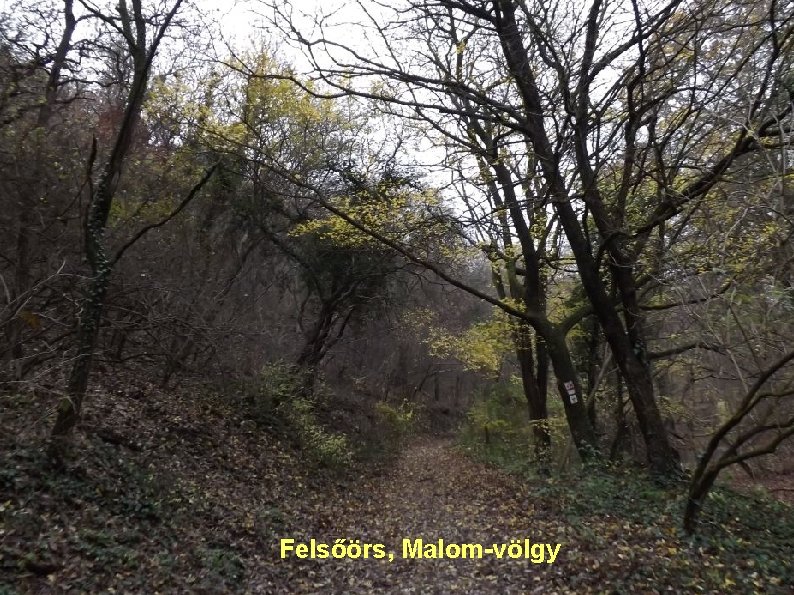 Felsőörs, Malom-völgy 