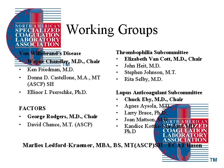 Working Groups Von Willebrand’s Disease • Wayne Chandler, M. D. , Chair • Ken