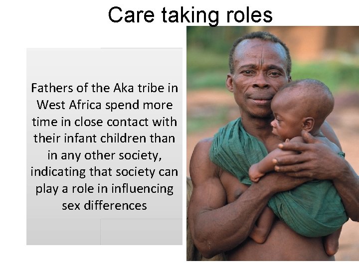 Care taking roles Fathers of the Aka tribe in West Africa spend more time
