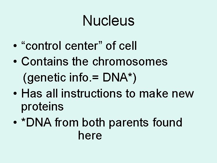 Nucleus • “control center” of cell • Contains the chromosomes (genetic info. = DNA*)
