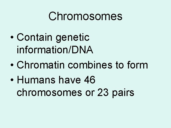 Chromosomes • Contain genetic information/DNA • Chromatin combines to form • Humans have 46