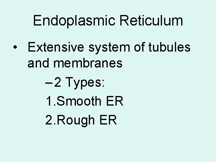 Endoplasmic Reticulum • Extensive system of tubules and membranes – 2 Types: 1. Smooth