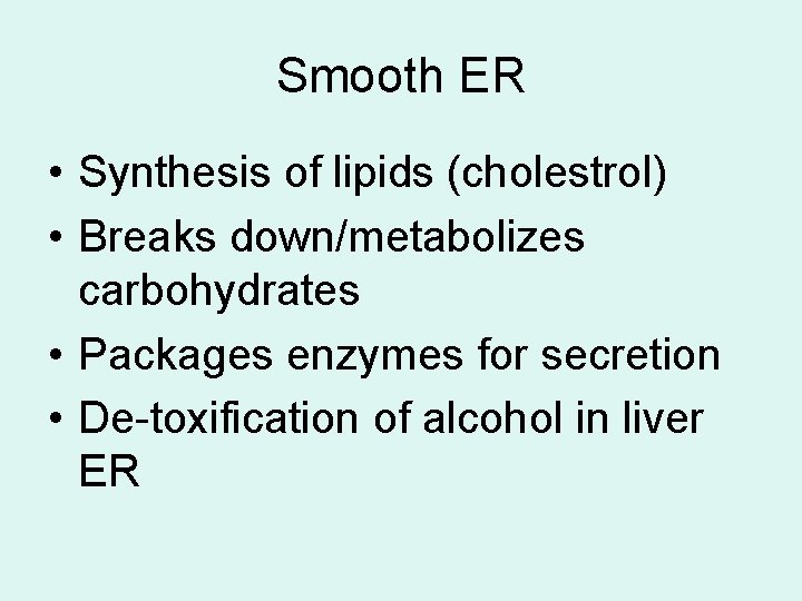 Smooth ER • Synthesis of lipids (cholestrol) • Breaks down/metabolizes carbohydrates • Packages enzymes