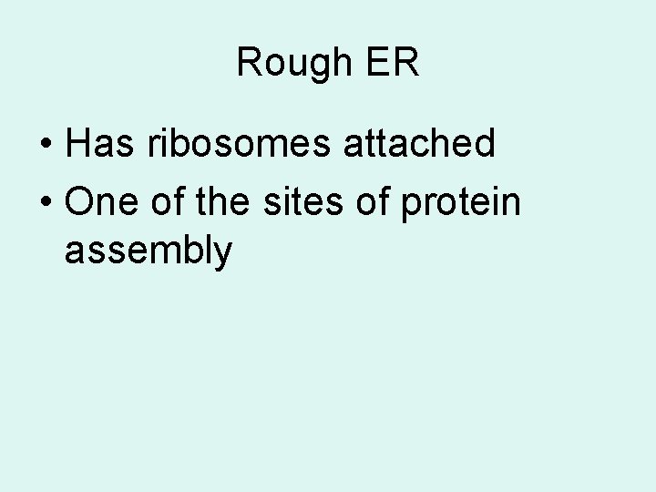 Rough ER • Has ribosomes attached • One of the sites of protein assembly
