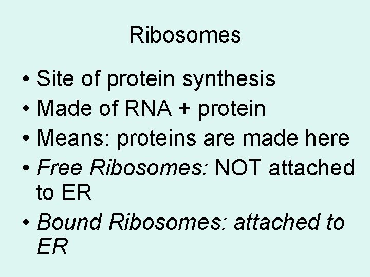 Ribosomes • Site of protein synthesis • Made of RNA + protein • Means: