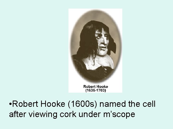  • Robert Hooke (1600 s) named the cell after viewing cork under m’scope