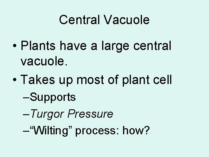 Central Vacuole • Plants have a large central vacuole. • Takes up most of