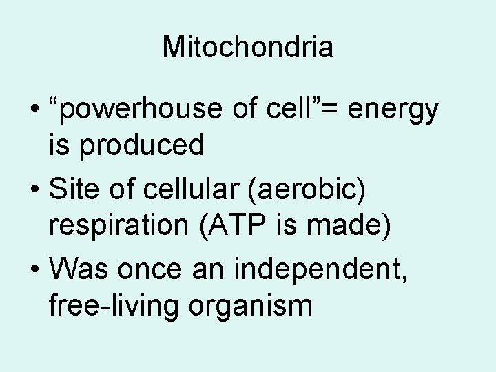 Mitochondria • “powerhouse of cell”= energy is produced • Site of cellular (aerobic) respiration