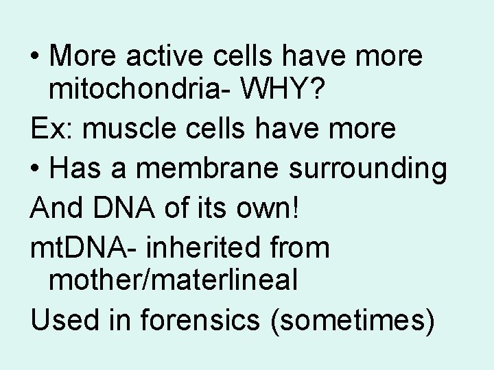  • More active cells have more mitochondria- WHY? Ex: muscle cells have more