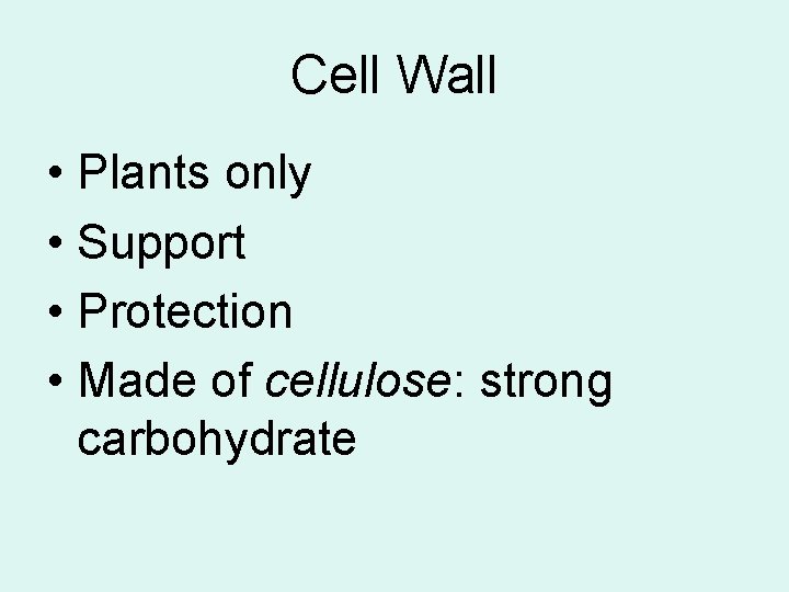 Cell Wall • Plants only • Support • Protection • Made of cellulose: strong