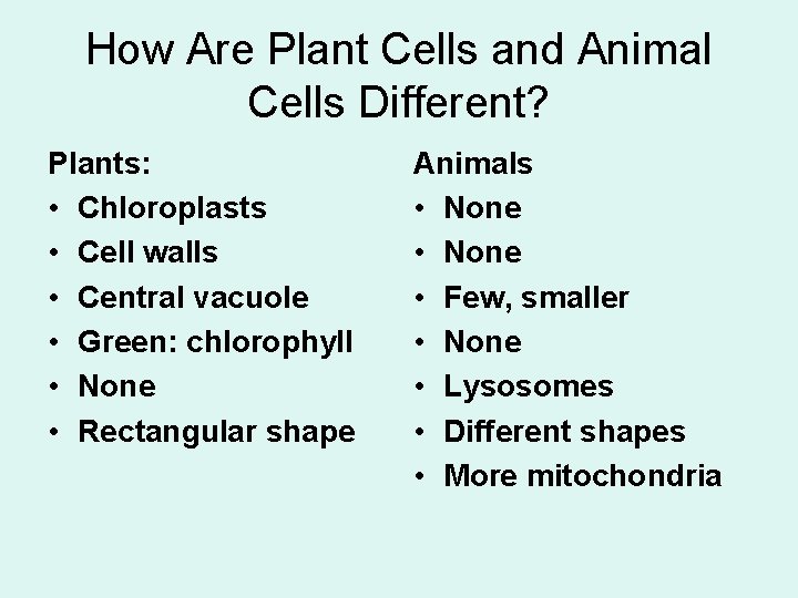 How Are Plant Cells and Animal Cells Different? Plants: • Chloroplasts • Cell walls