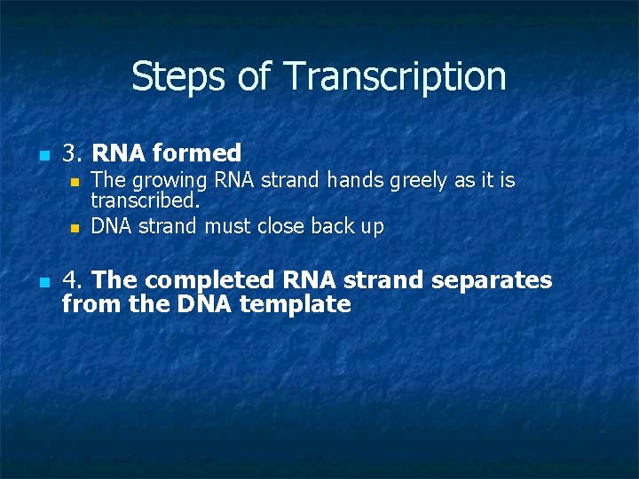 Steps of Transcription n 3. RNA formed n n n The growing RNA strand