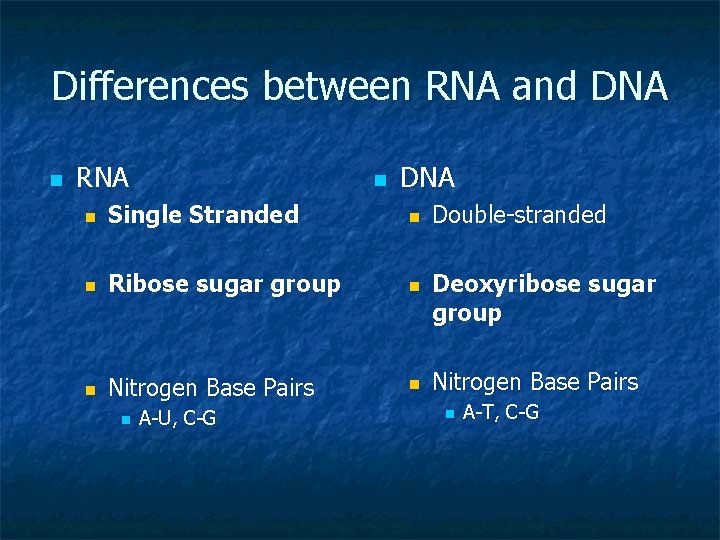 Differences between RNA and DNA n RNA n DNA n Single Stranded n n